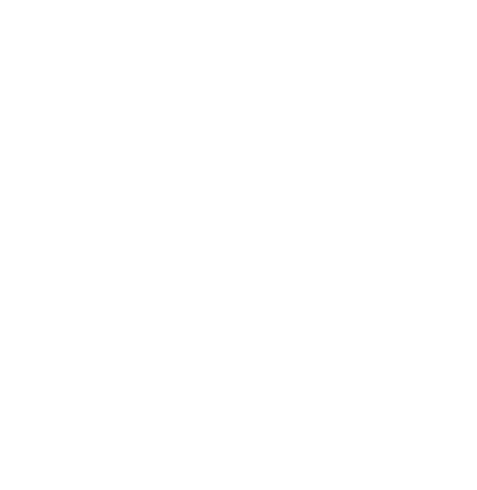 Rivera Electric Logo